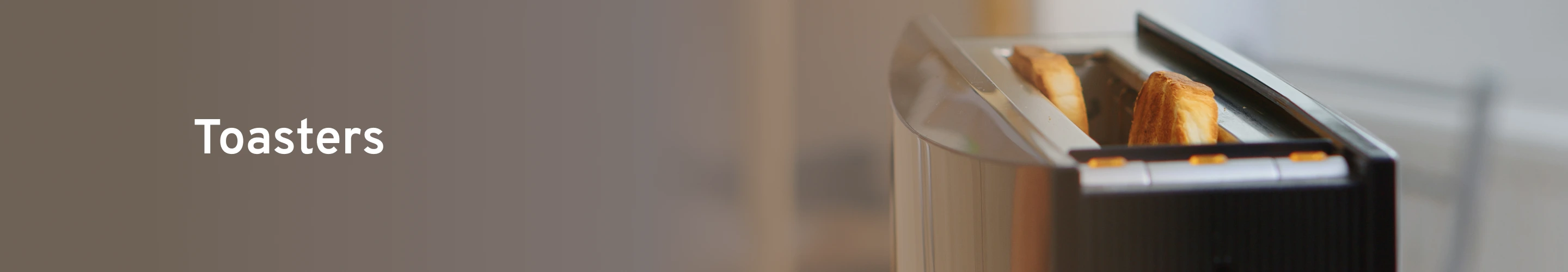 Banner 1